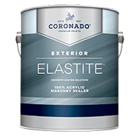 Elastite® Acrylic Masonry Sealer 48