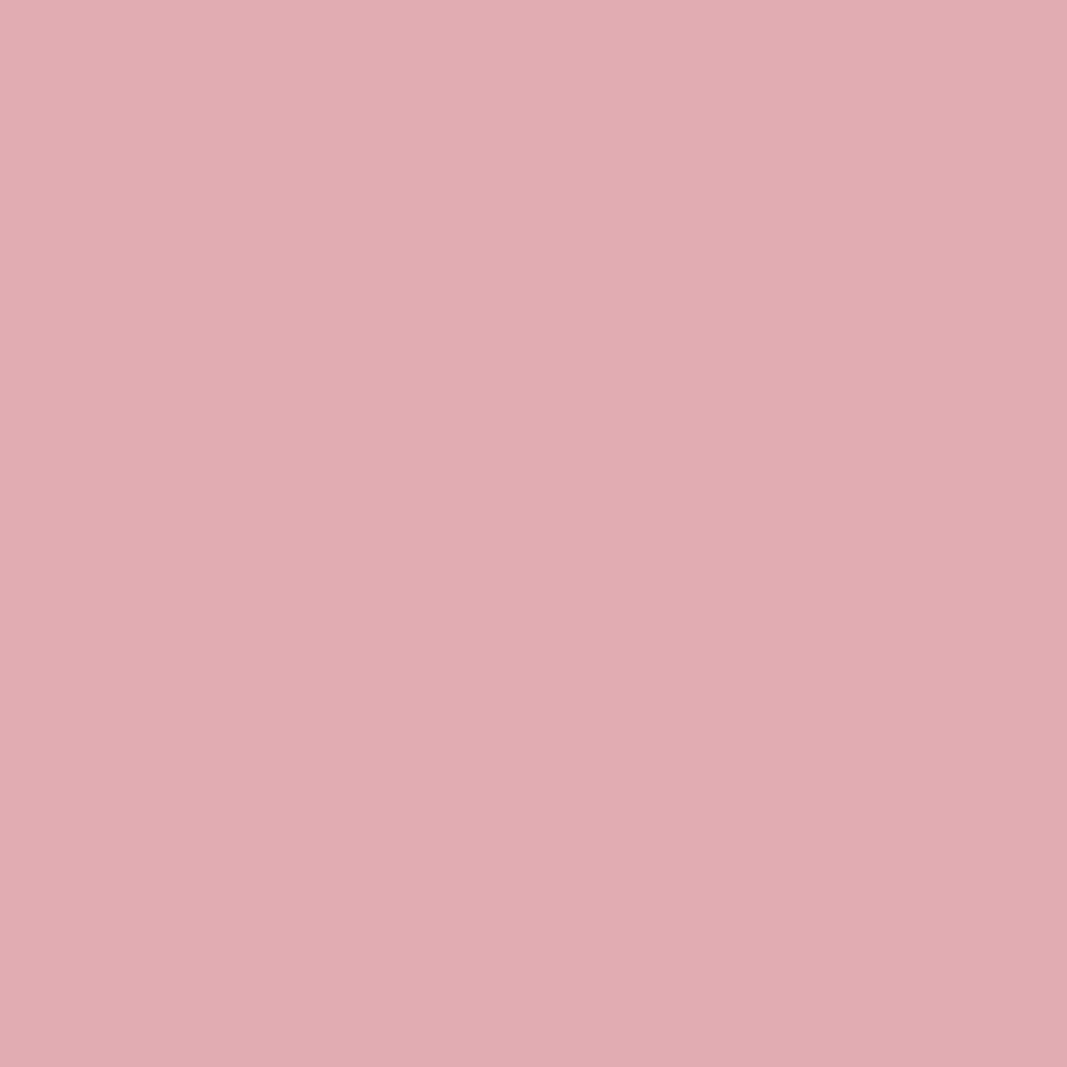 Pink Eraser 2005-50